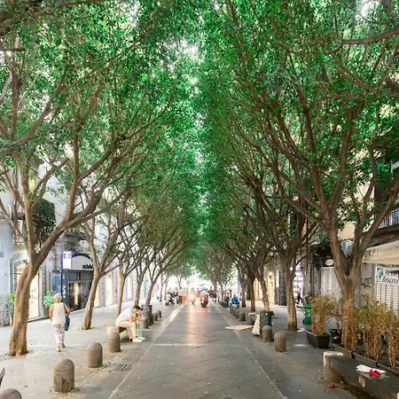 Διαμέρισμα Calaba Chiaia